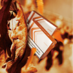 Kuanzhai Succinite - Gambar 3