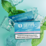 Sentic Mistral - Gambar 3